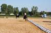 dsc01067_small.jpg