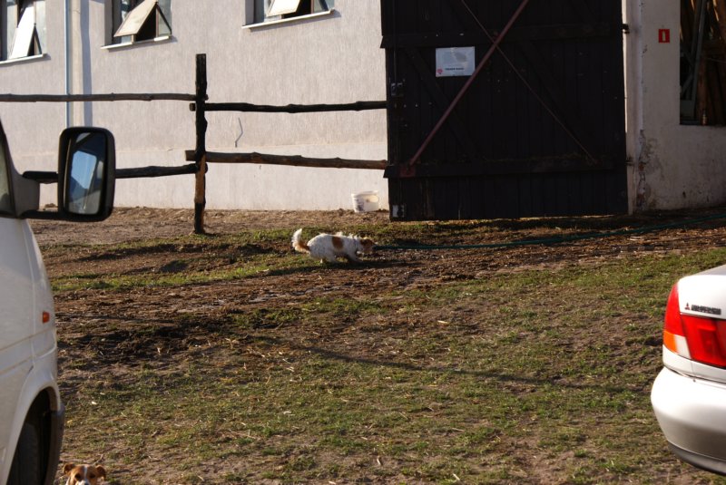 dsc01078.jpg
