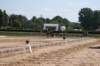 dsc01188_small.jpg