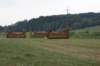 dsc01308_small.jpg