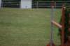 dsc01402_small.jpg