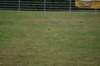 dsc01403_small.jpg
