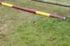 dsc01404_small.jpg