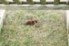 dsc01407_small.jpg