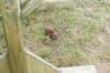dsc01408_small.jpg
