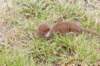 dsc01410_small.jpg