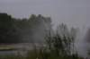dsc01412_small.jpg