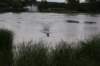 dsc01415_small.jpg