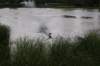 dsc01416_small.jpg
