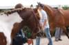 dsc01417_small.jpg
