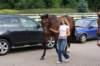 dsc01419_small.jpg