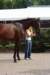 dsc01423_small.jpg