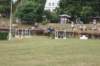 dsc01482_small.jpg