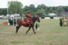 dsc01552_small.jpg