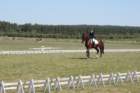 dsc05709_small.jpg