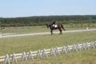 dsc05727_small.jpg