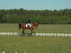 pict0097_small.jpg