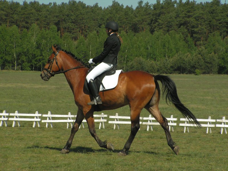 pict0122.jpg