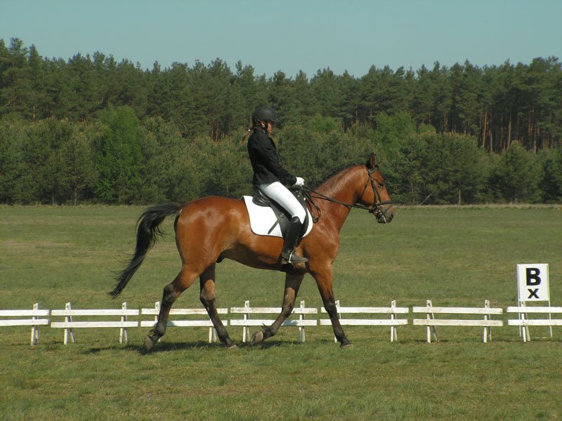 pict0125.jpg