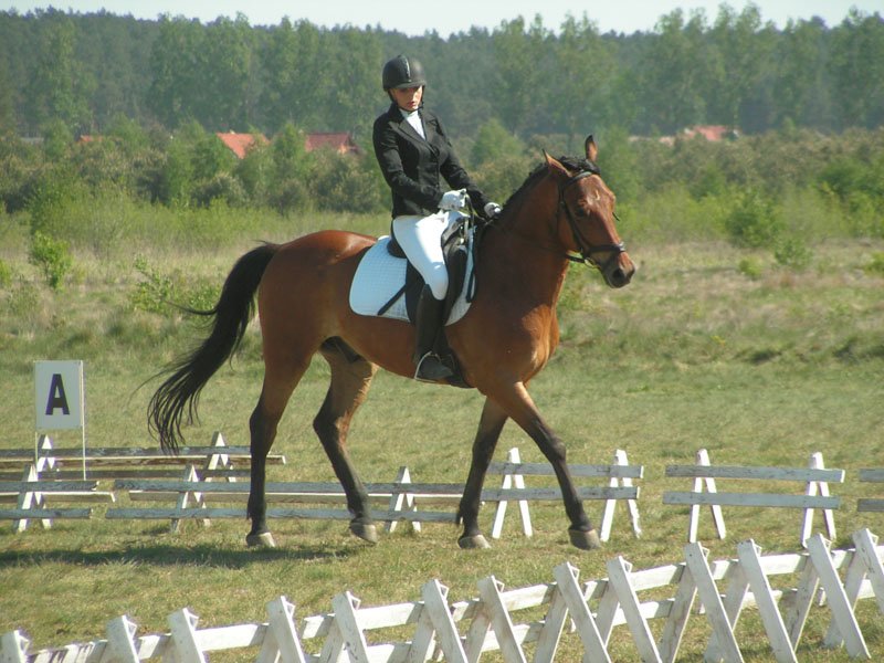 pict0126.jpg