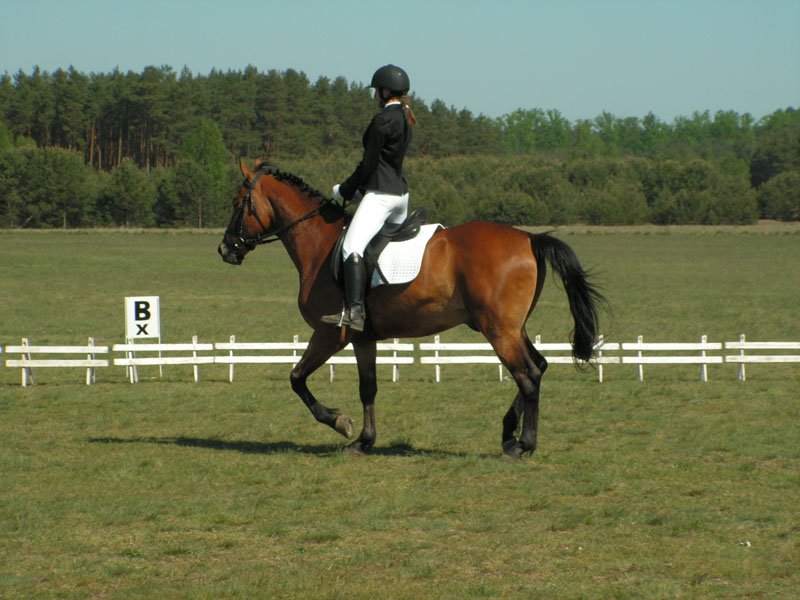 pict0127.jpg