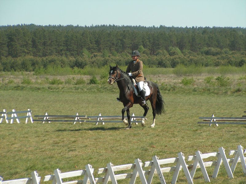 pict0135.jpg