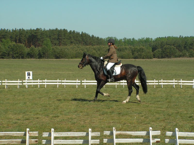 pict0136.jpg