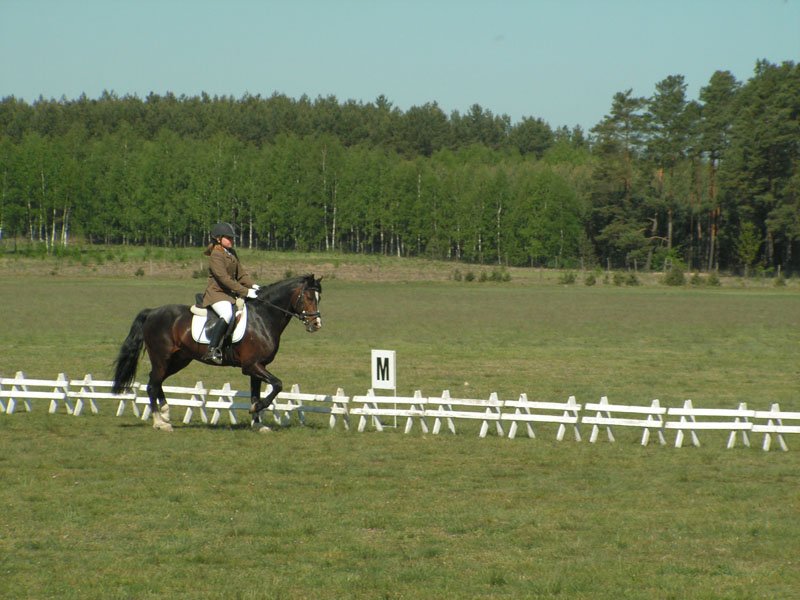 pict0138.jpg