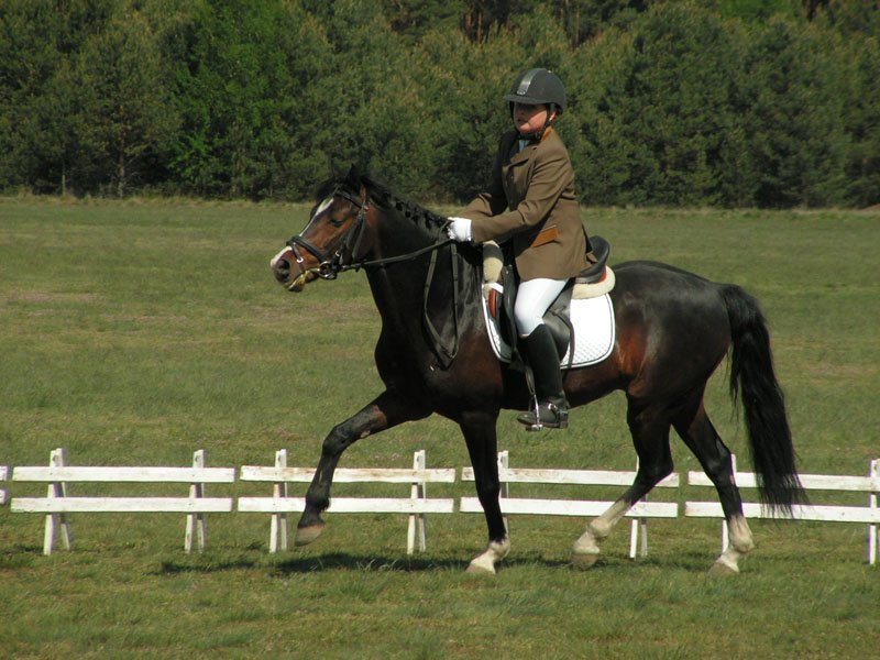 pict0144.jpg