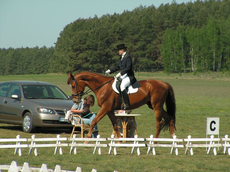 pict0155.jpg
