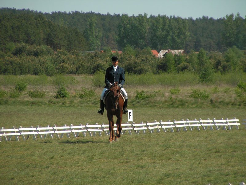 pict0226.jpg